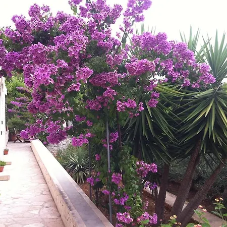 Casa de Férias Katja