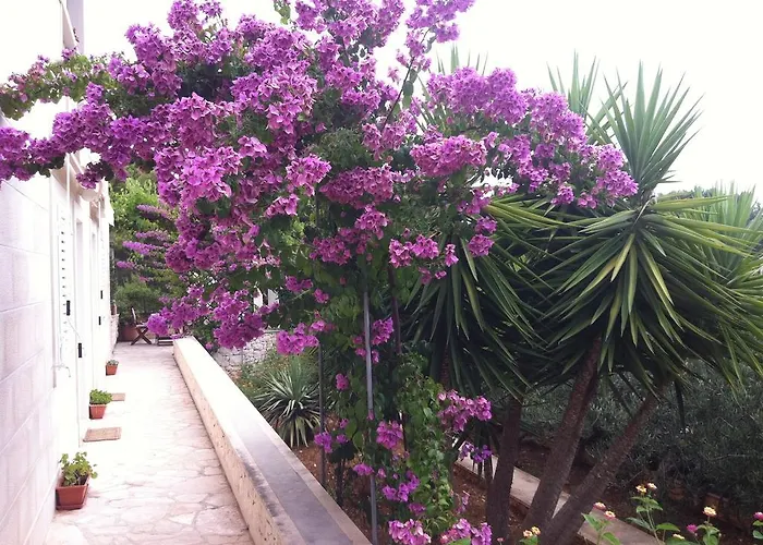 بيت للعطل Katja